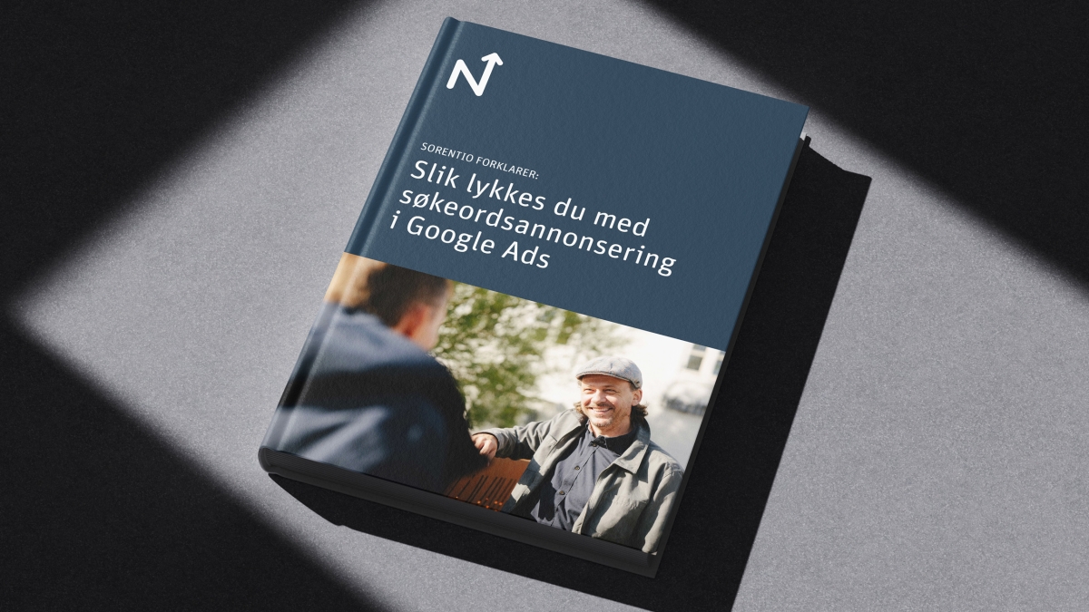 E-bok: Søkeordsannonsering i Google Ads                                                
